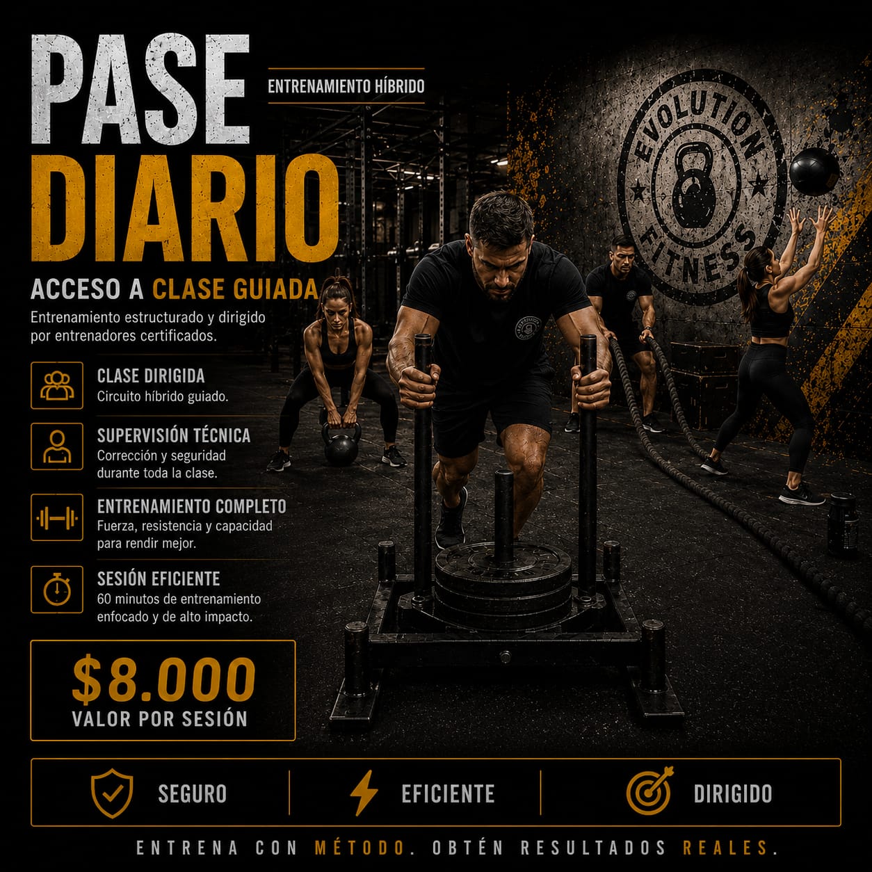 Pase diario Evolution Fitness