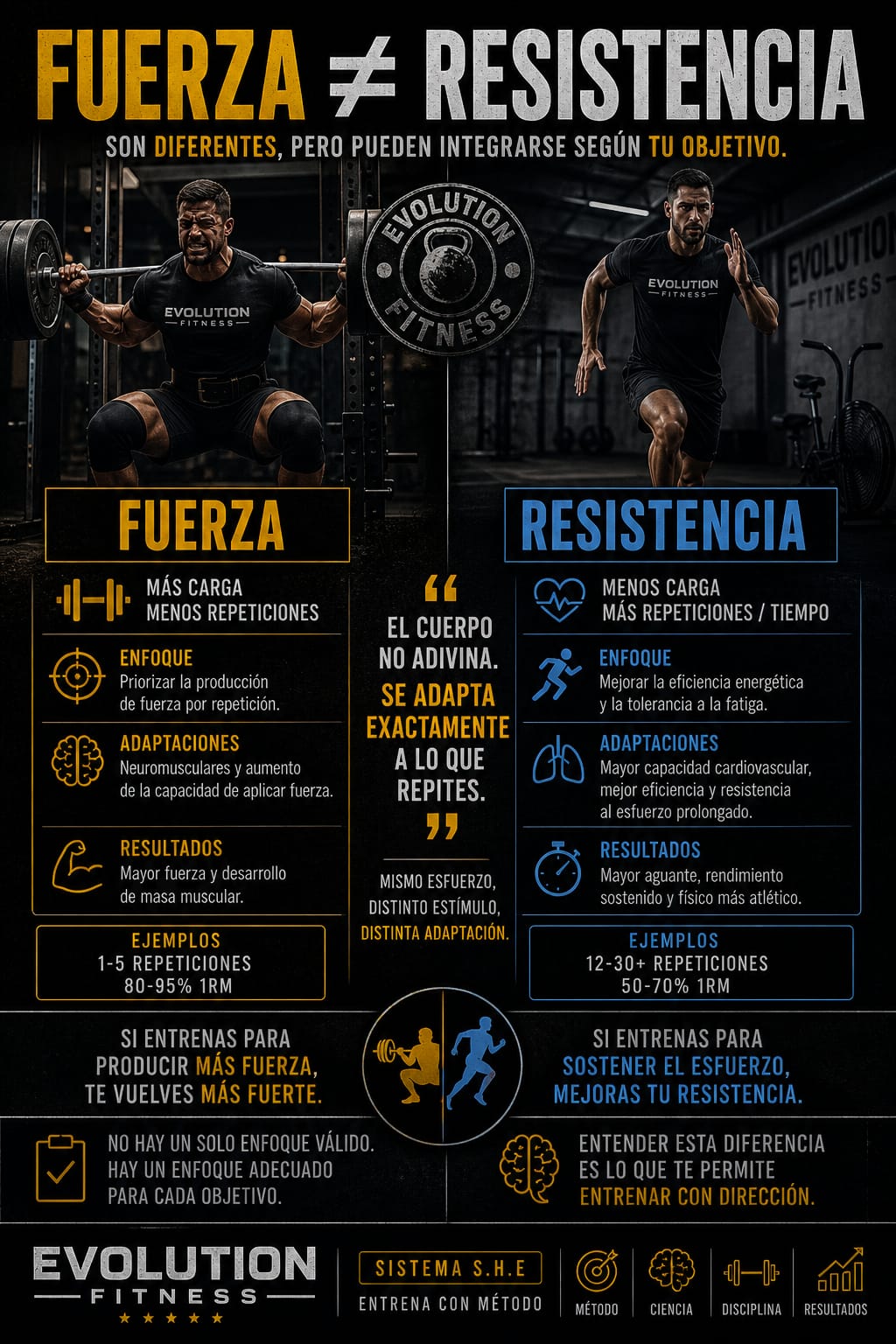 Pieza educativa del Sistema S.H.E. sobre fuerza y resistencia